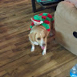 Meet your Posher, James